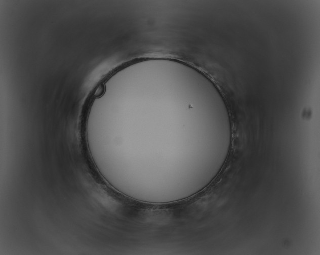 X0000091520296200708311255