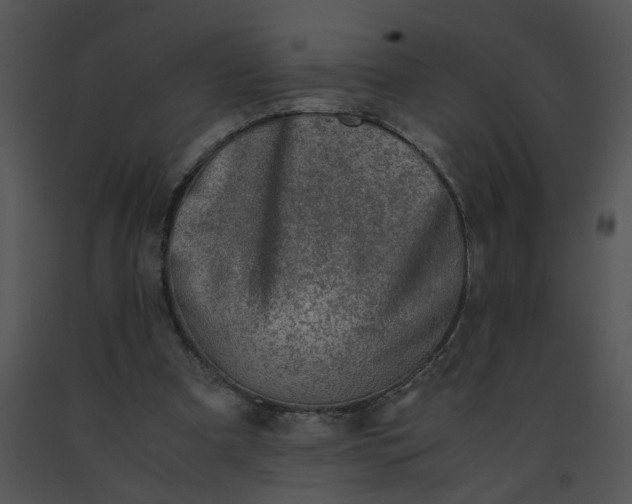 X0000091520297200708311255