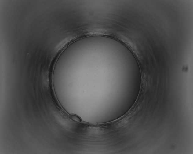 X0000091520298200708311255