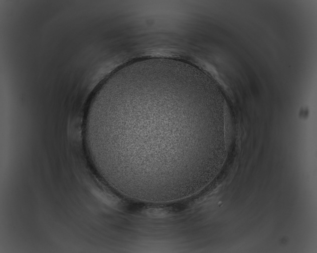 X0000091520299200708311255