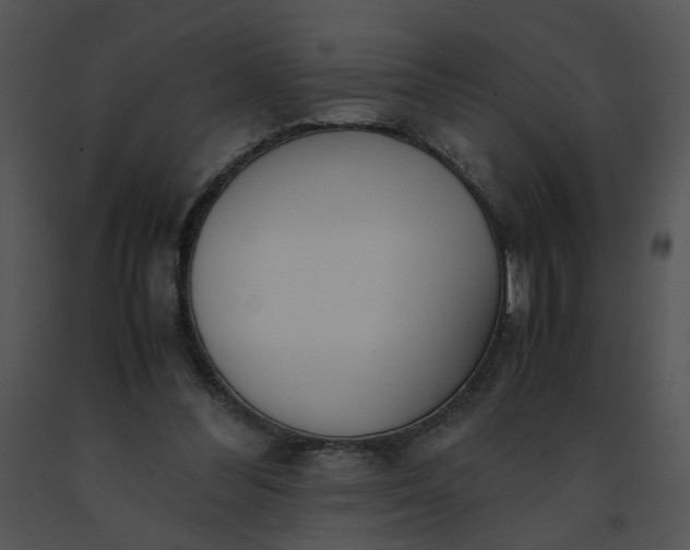 X0000091520300200708311255