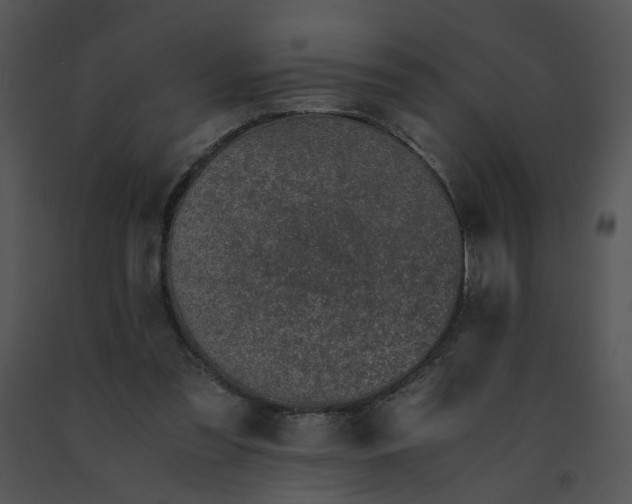 X0000091520301200708311255