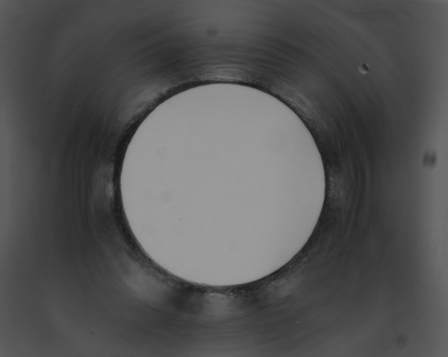 X0000091520302200708311255