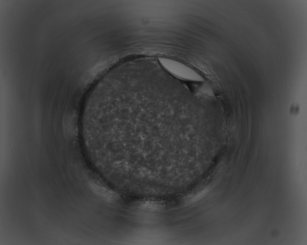 X0000091520303200708311255