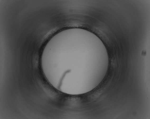 X0000091520304200708311255