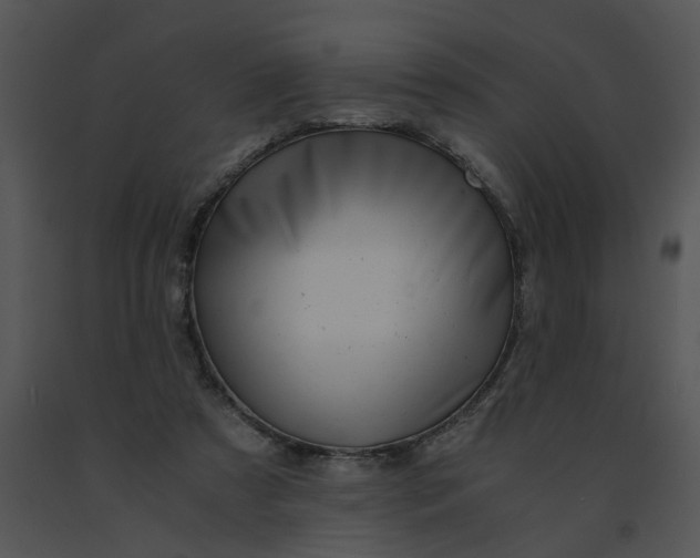 X0000091520305200708311255