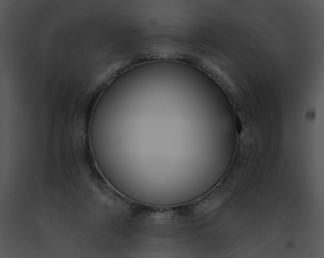 X0000091520306200708311255