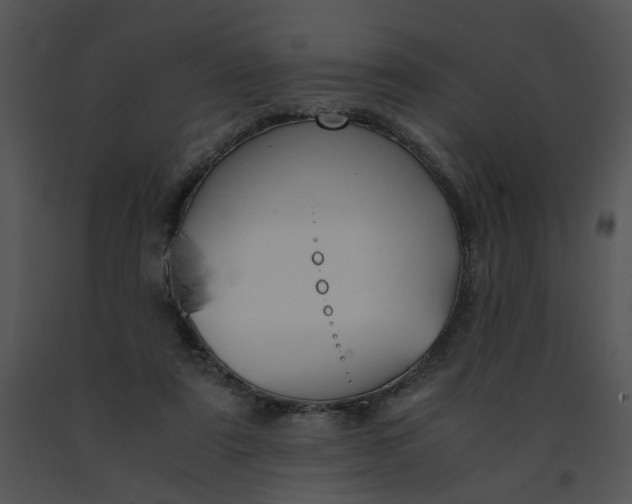 X0000091520307200708311255