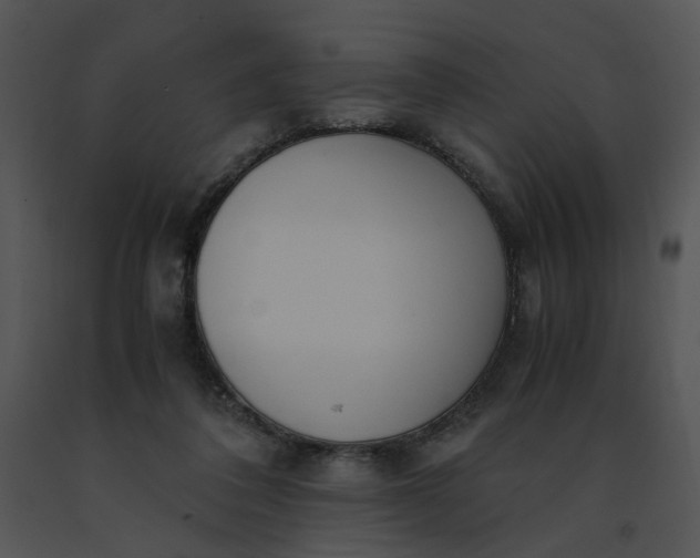 X0000091520308200708311255