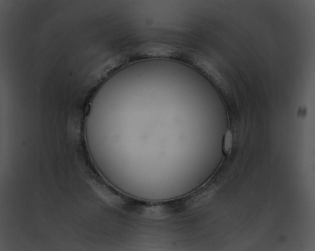 X0000091520309200708311255