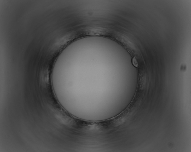 X0000091520310200708311255