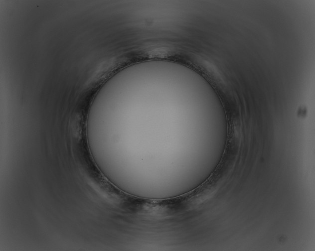 X0000091520311200708311255