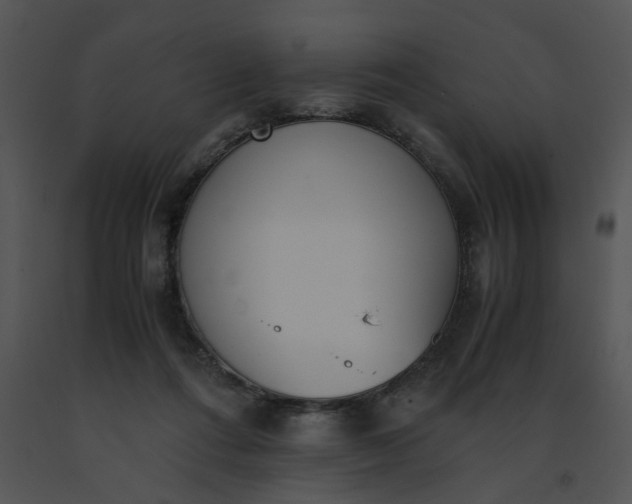 X0000091520312200708311255