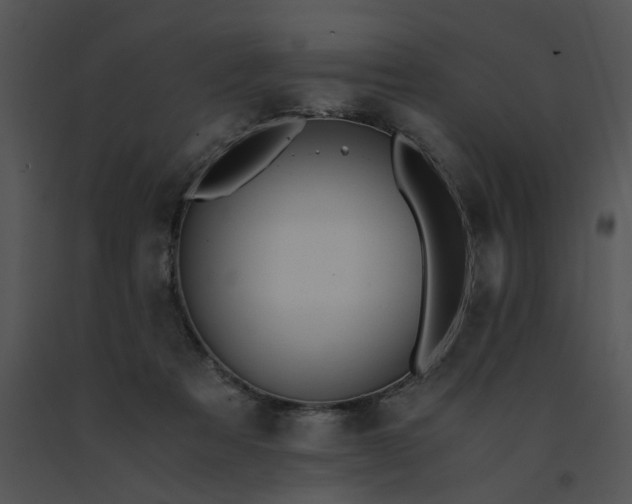 X0000091520313200708311255