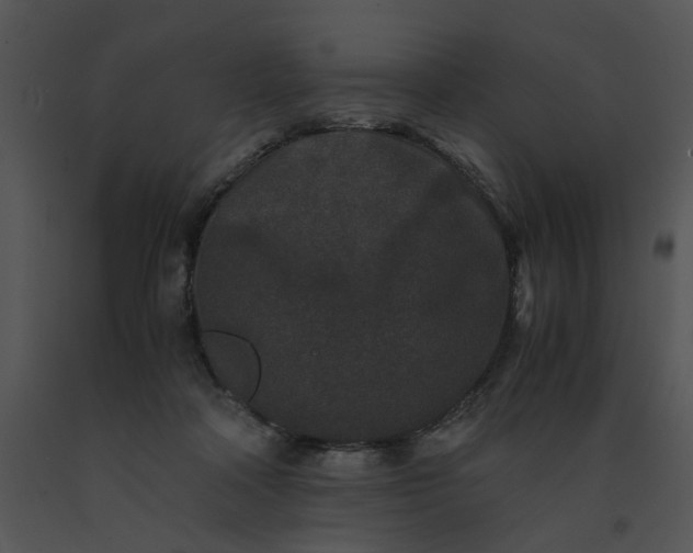 X0000091520314200708311255