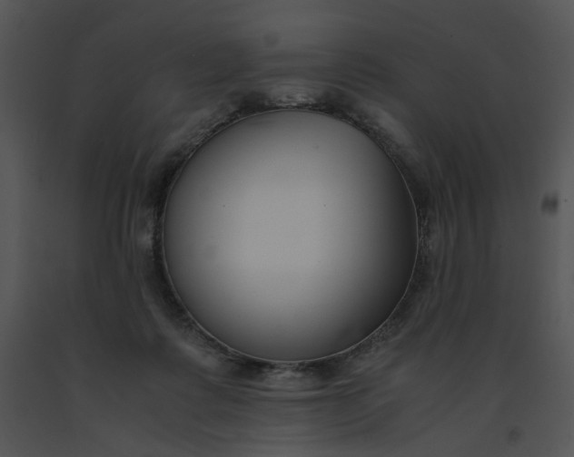 X0000091520315200708311255