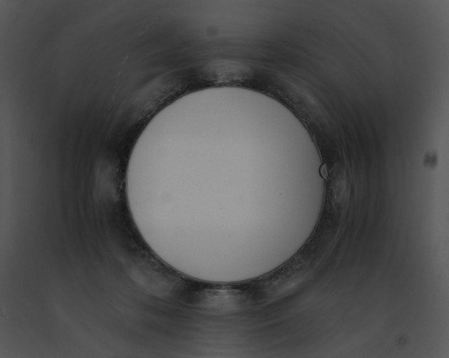 X0000091520316200708311255