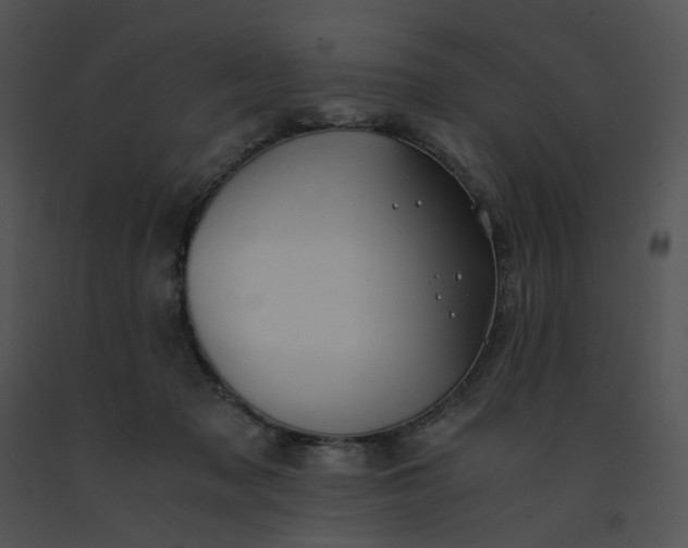 X0000091520317200708311255