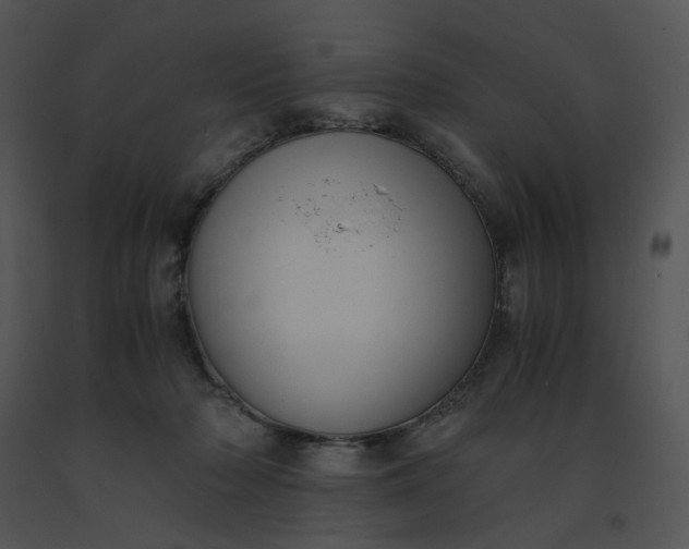 X0000091520318200708311255