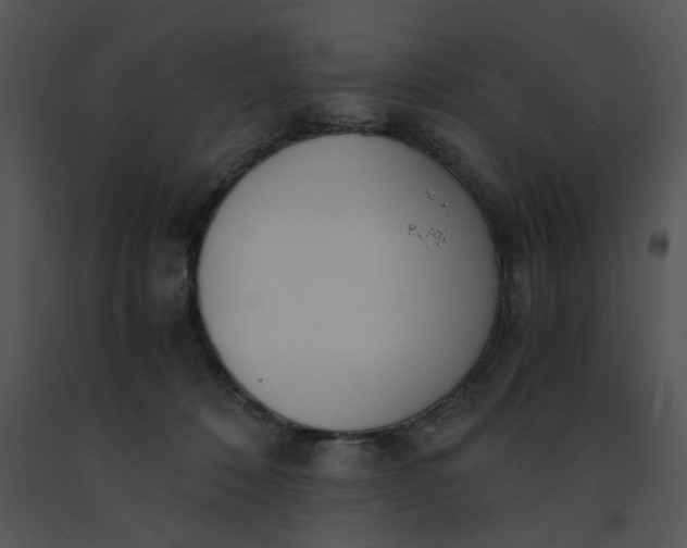 X0000091520320200708311255