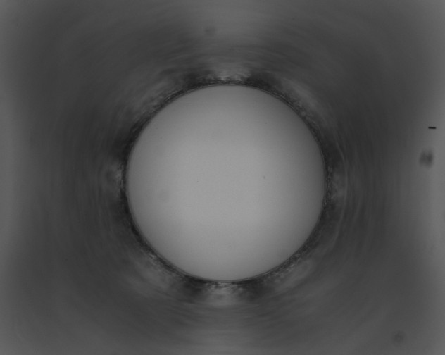 X0000091520321200708311255