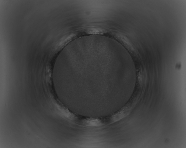 X0000091520322200708311255