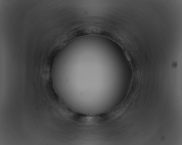 X0000091520323200708311255