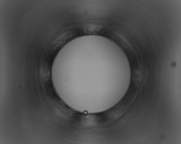 X0000091520324200708311255