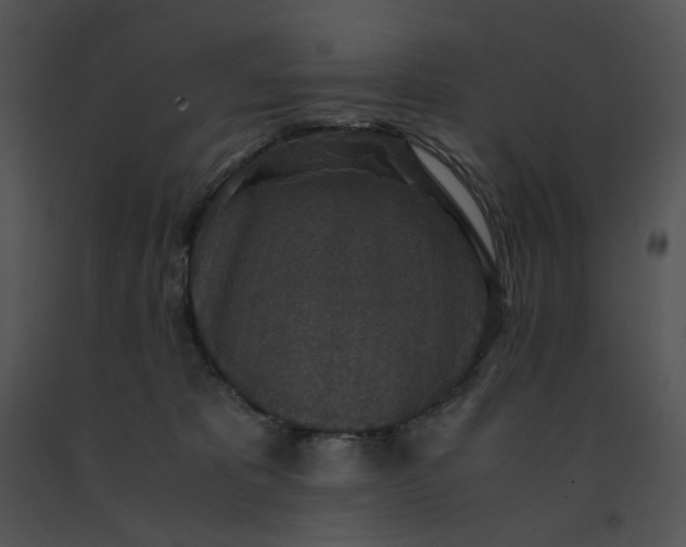 X0000091520325200708311255