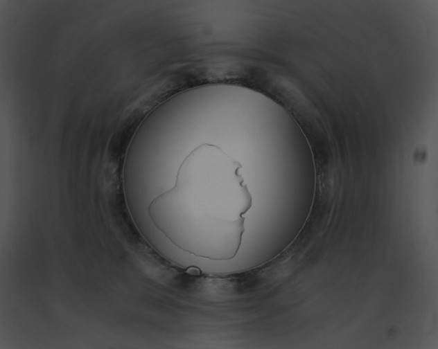 X0000091520327200708311255