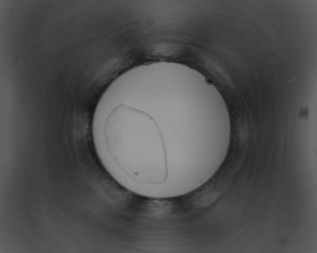 X0000091520328200708311255