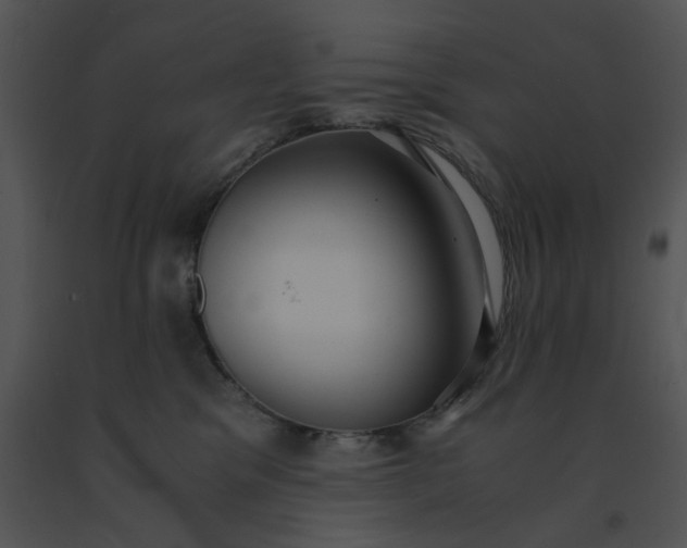 X0000091520329200708311255