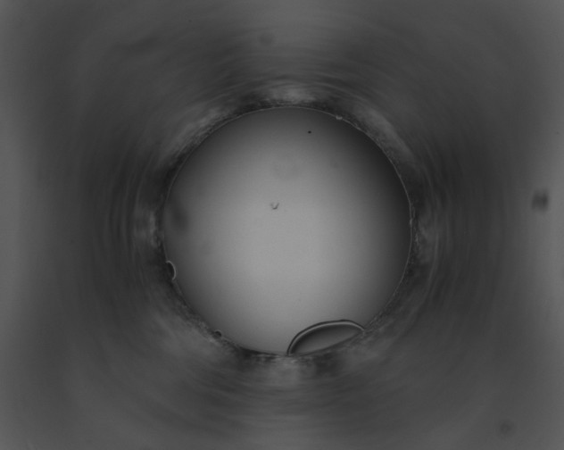 X0000091520330200708311255