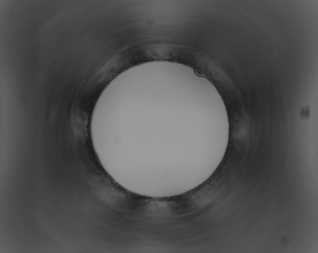 X0000091520332200708311254