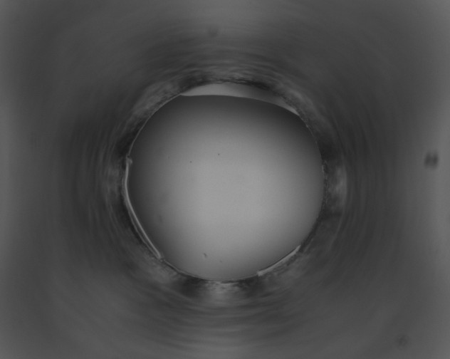 X0000091520333200708311254