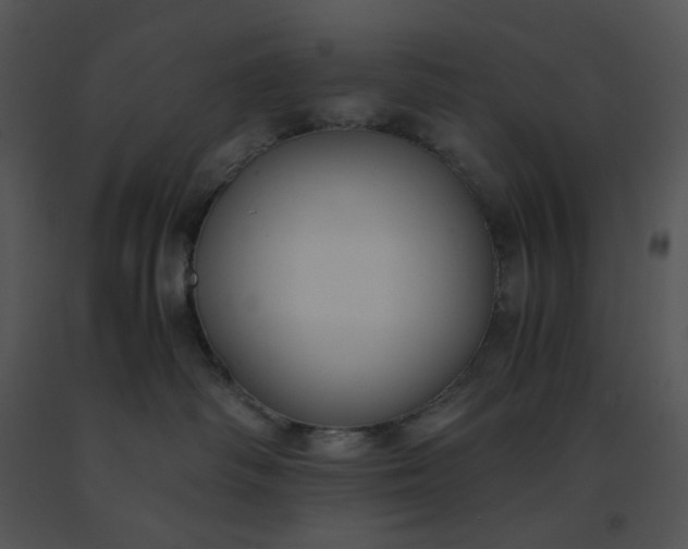 X0000091520334200708311254