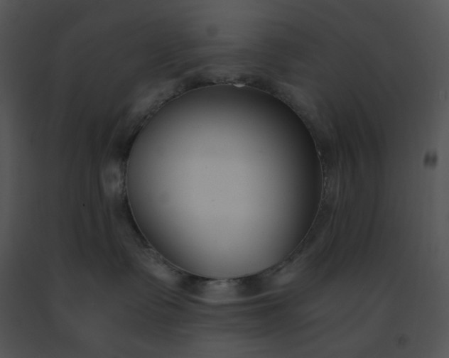 X0000091520335200708311254