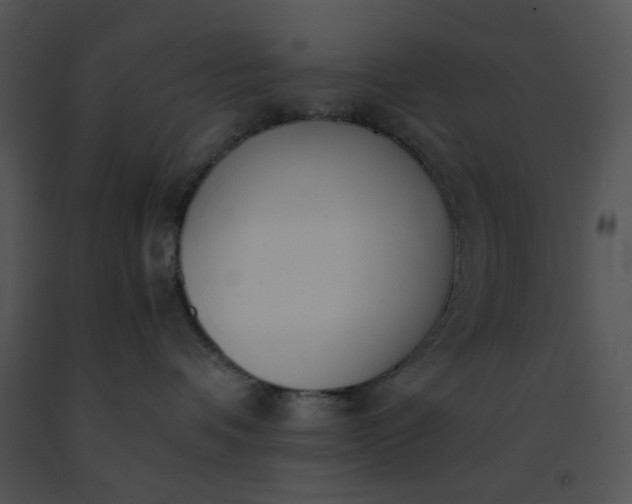 X0000091520336200708311254