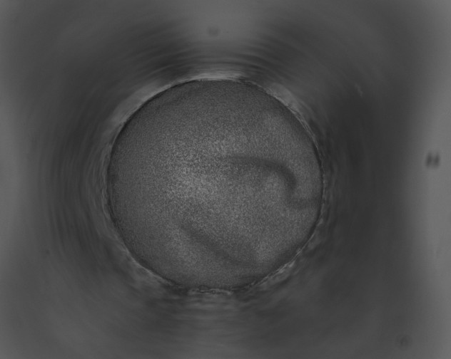 X0000091520337200708311254