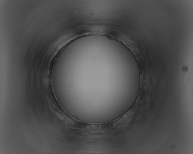 X0000091520338200708311254