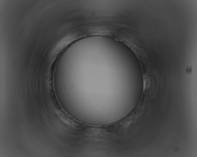 X0000091520339200708311254