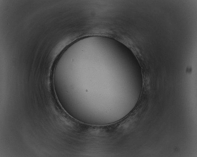 X0000091520340200708311254