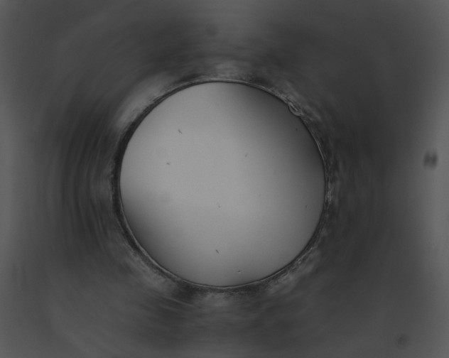 X0000091520341200708311254