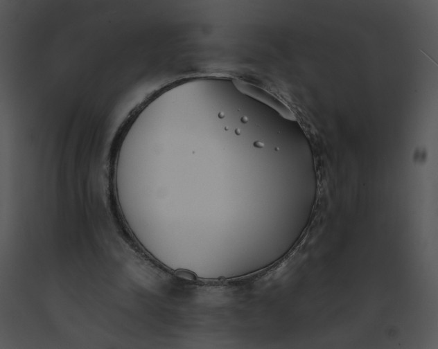 X0000091520342200708311254