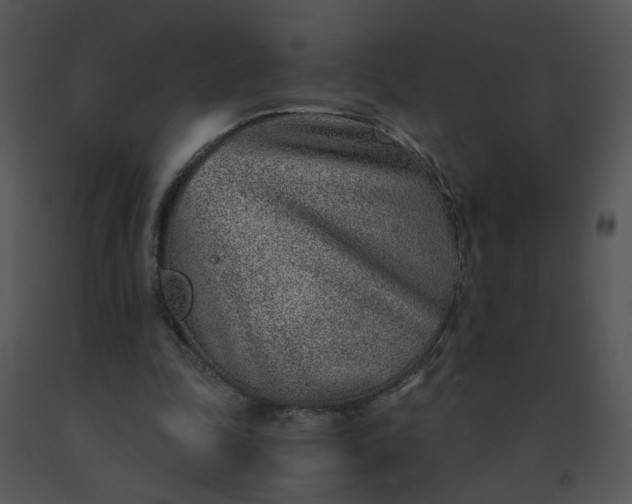 X0000091520343200708311254