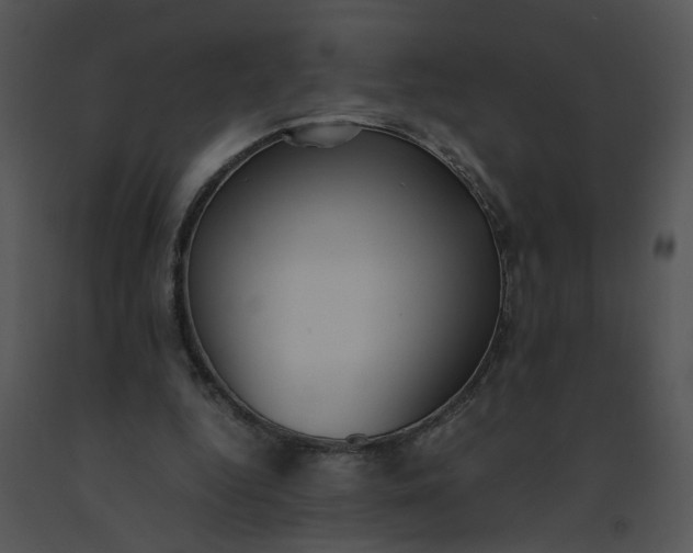 X0000091520344200708311254