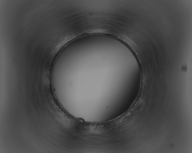 X0000091520345200708311254