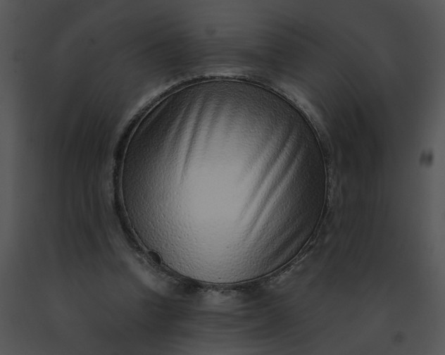 X0000091520346200708311254