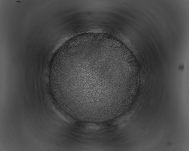 X0000091520347200708311254