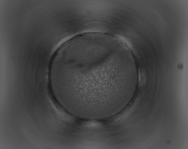 X0000091520348200708311254